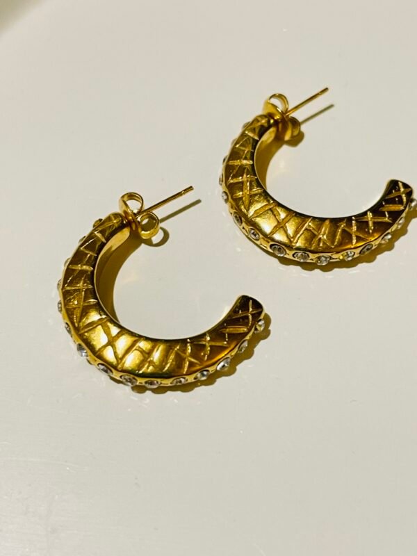 TEXTURED ROYAL HOOPS WITH AD EARRING - Image 3